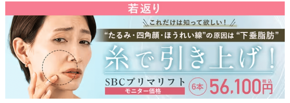 sbc10